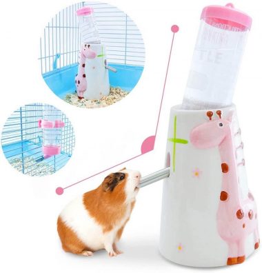 Hamster Water Bottle: A Quick Buyer’s Guide – Hamsteropedia