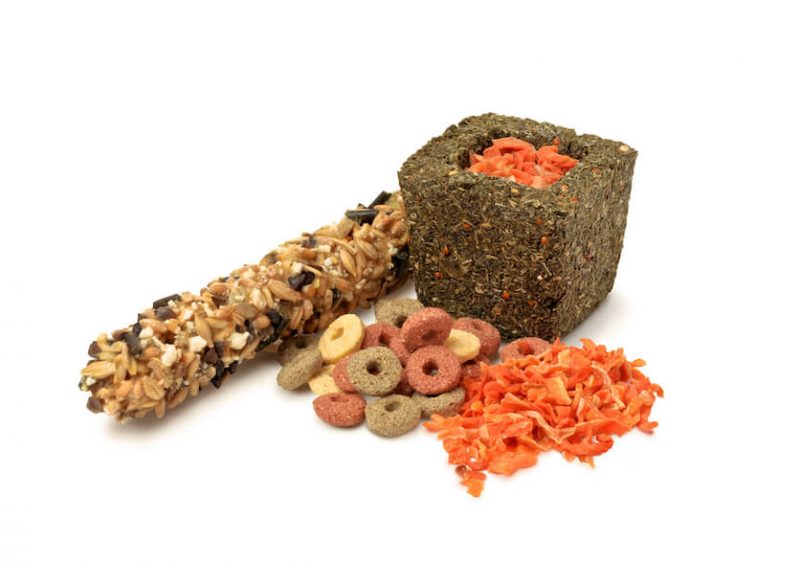 Hamster Treats: A Big List Of Good Munchies To Give – Hamsteropedia