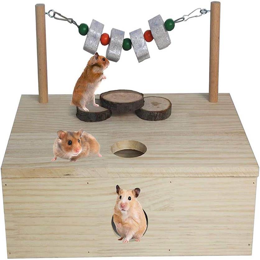 hamster maze toy