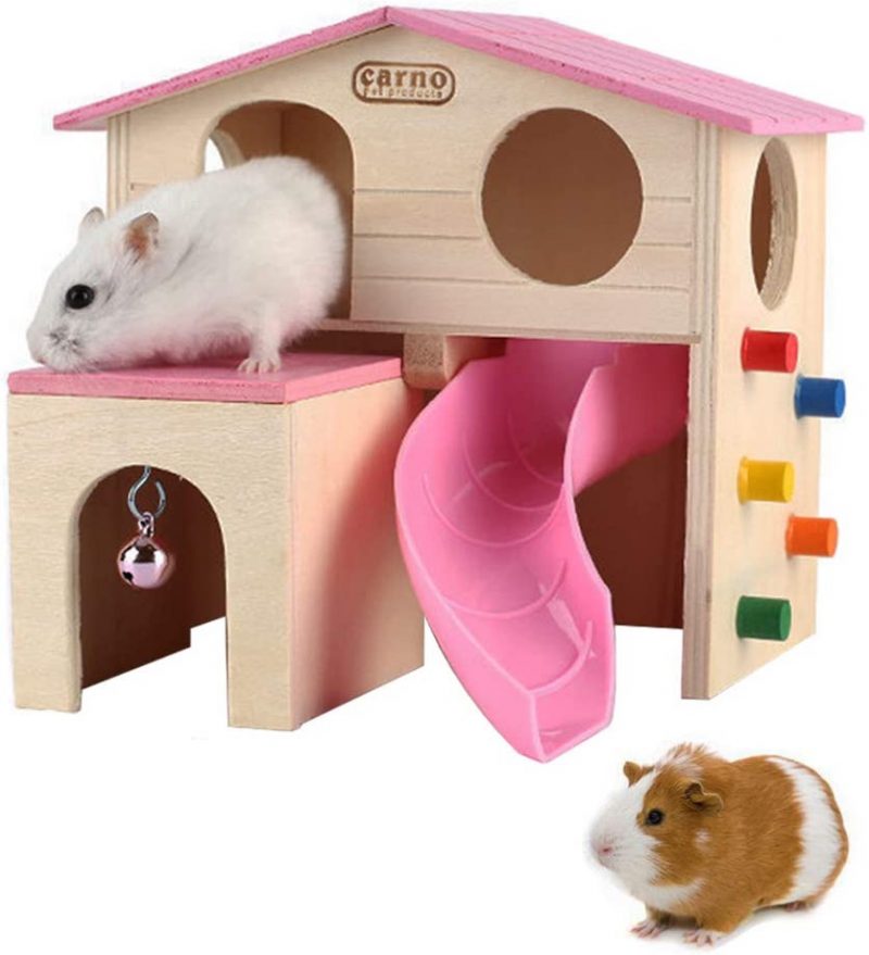 10 Types Of Hamster Toys You Should Consider Getting Hamsteropedia