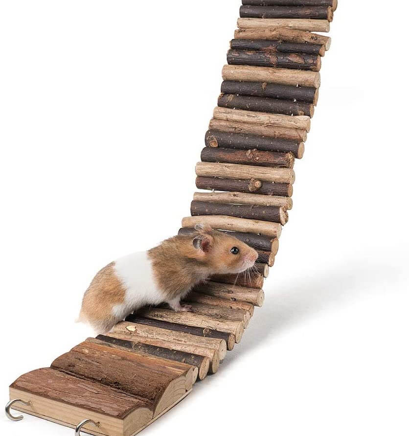 hamster suspension bridge