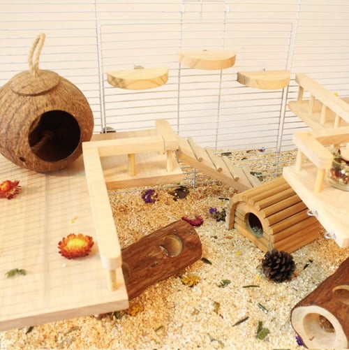 hamster cage landscape supplies