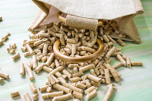 hamster pellets for litter box