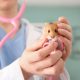 hamster in veterinarian hands
