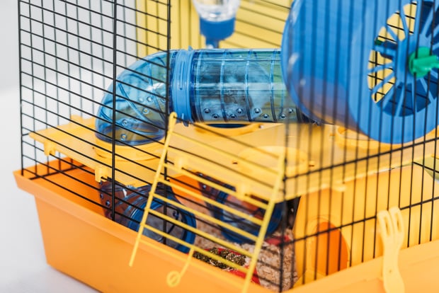 expensive hamster cage